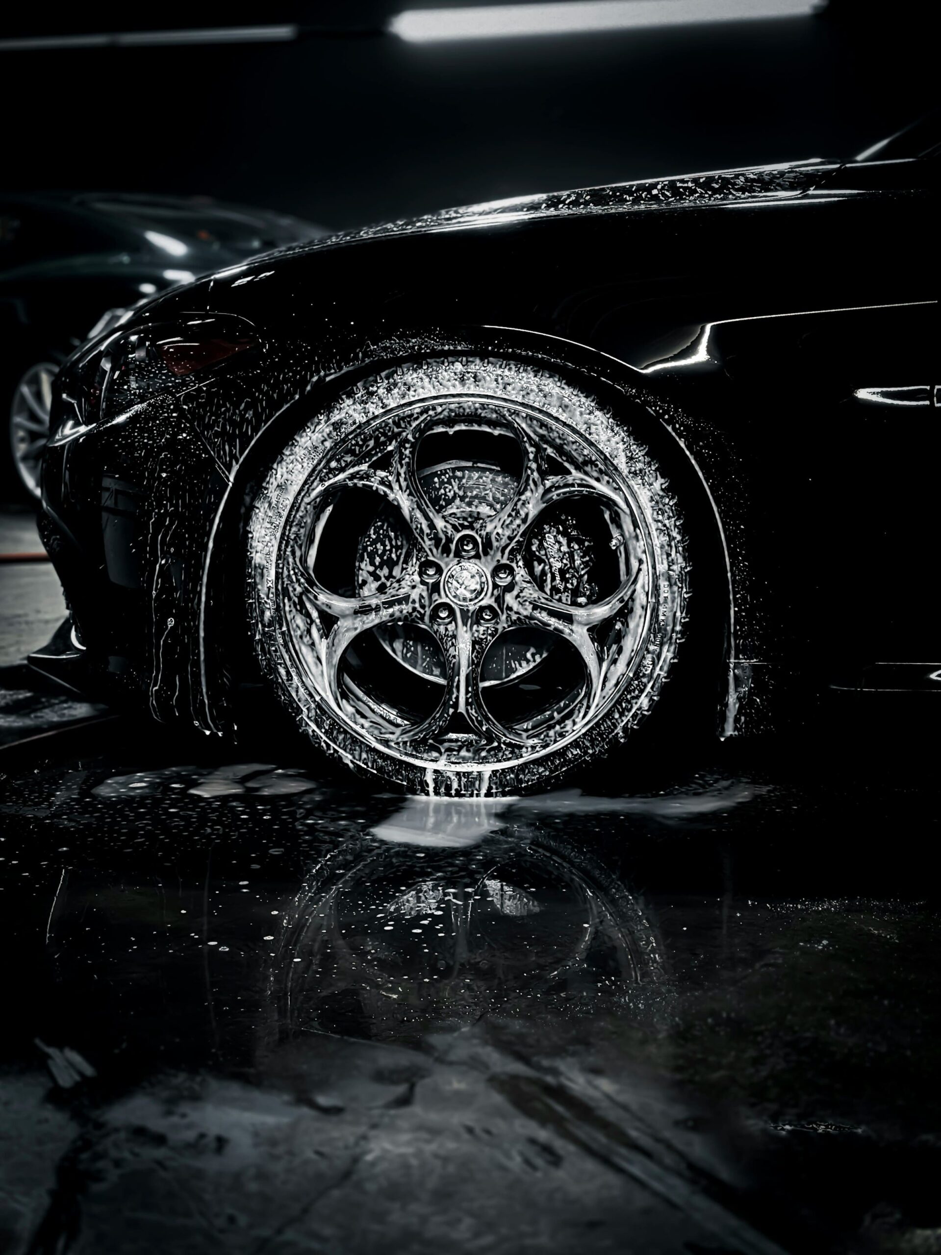 zac-nielson-m5g2IFRouCs-unsplash